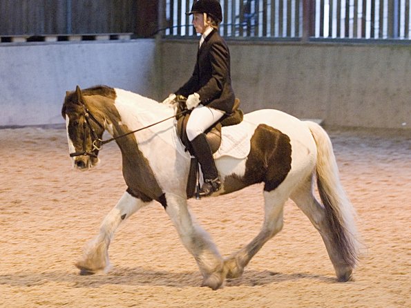 Official photos (21)