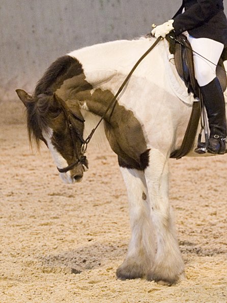 Official photos (22)