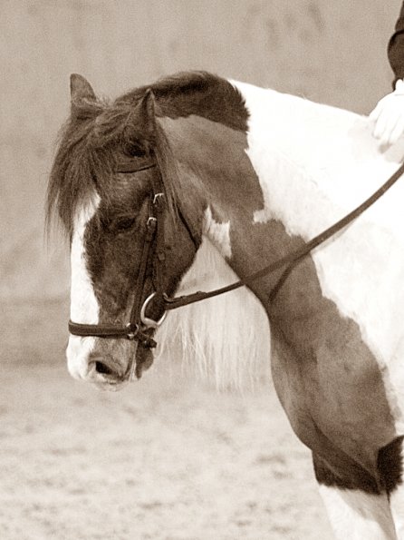 Official photos (24)