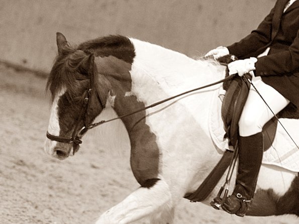 Official photos (25)