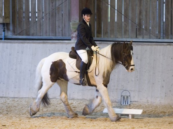 Official photos (29)