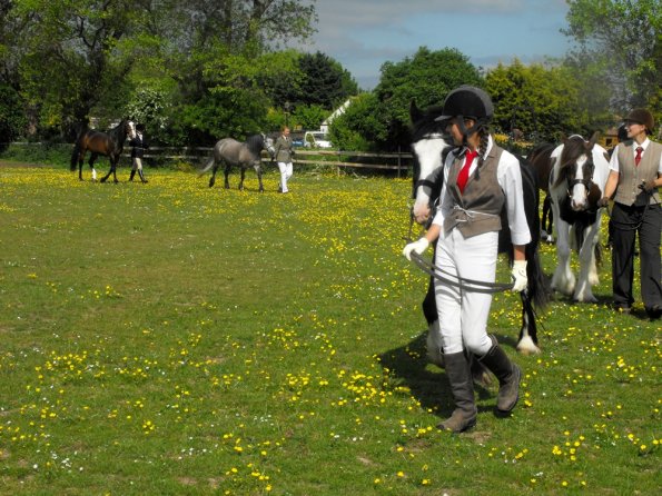 Condition and turnout