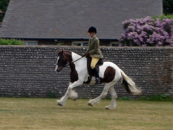 Lance ridden coloureds (11)