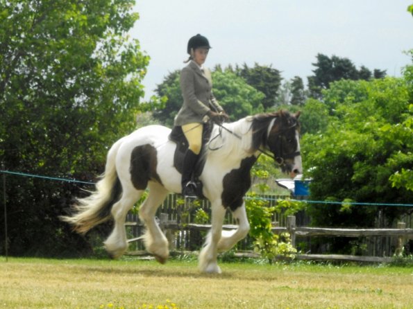 Lance ridden coloureds (2)