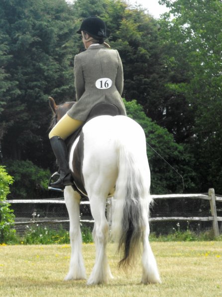 Lance ridden coloureds (3)