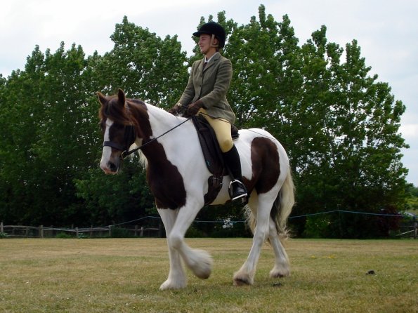 Lance ridden coloureds (5)