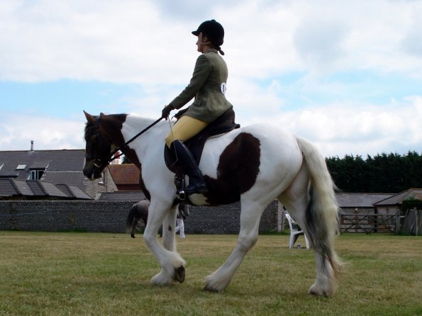 Lance ridden coloureds (6)