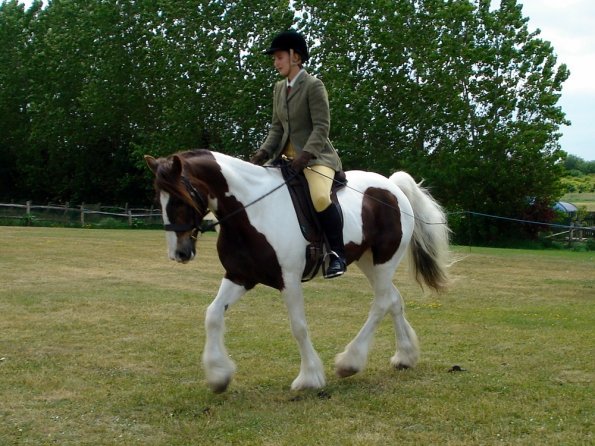 Lance ridden coloureds (8)