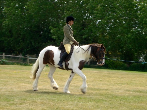 Lance ridden coloureds (9)