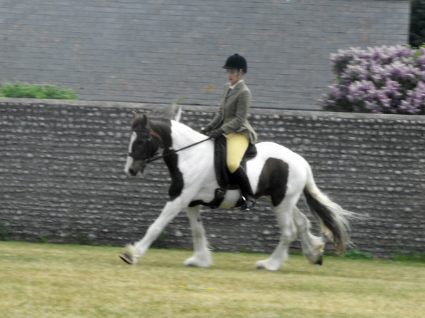 Lance ridden coloureds