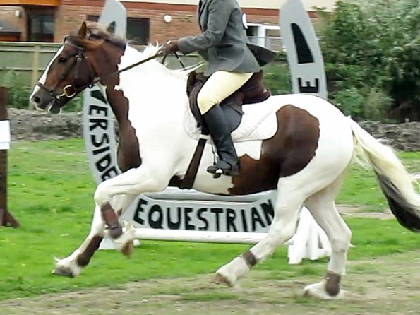 Anna and Lance jumping (10)