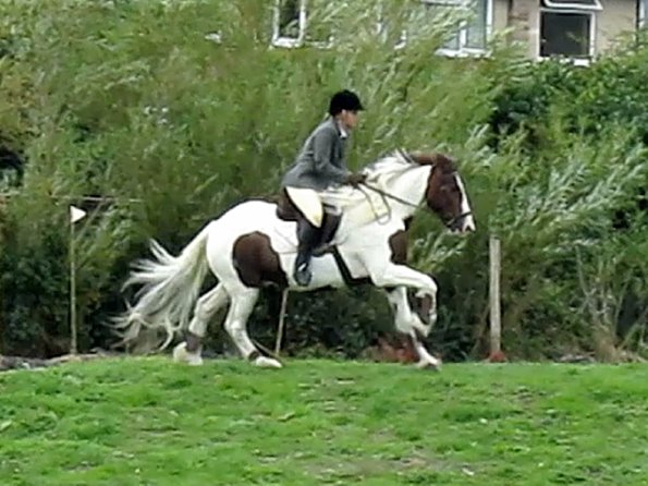 Anna and Lance jumping (14)