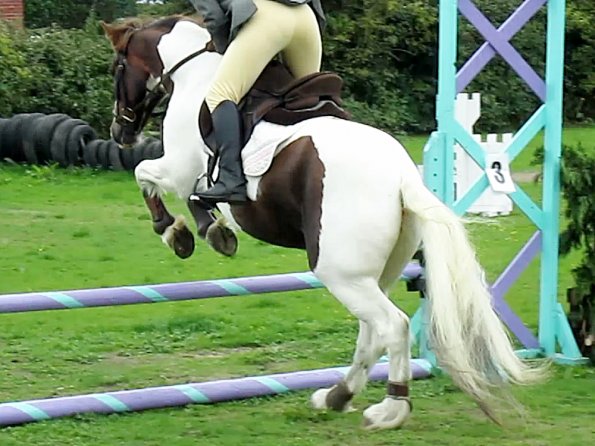 Anna and Lance jumping (2)