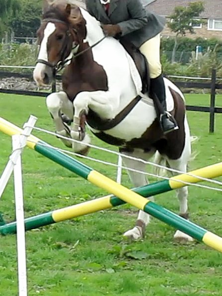 Anna and Lance jumping