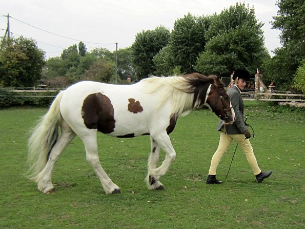 Lance coloured in hand (2)