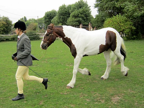 Lance coloured in hand (3)