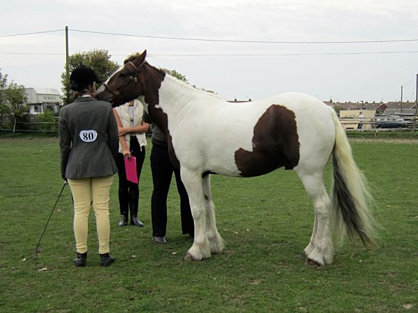 Lance coloured in hand (4)