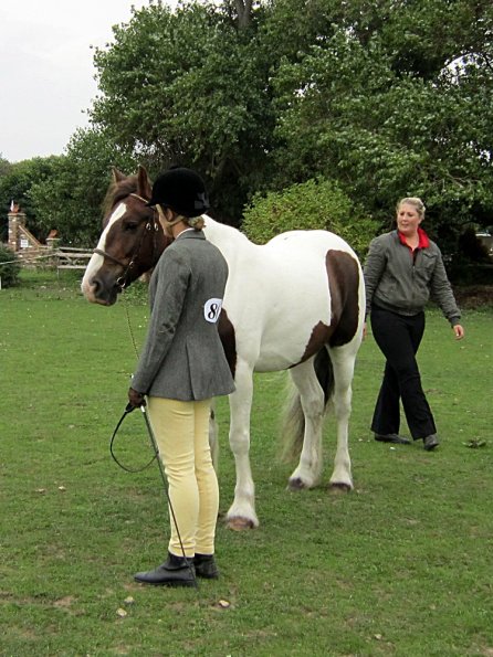 Lance coloured in hand (5)