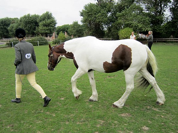 Lance coloured in hand