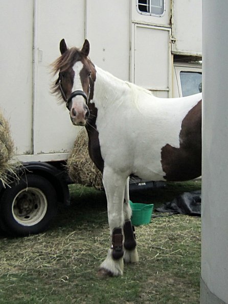 Lance posing on the box (2)