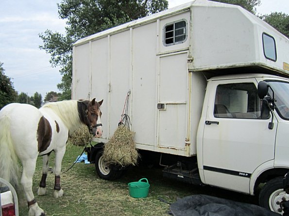 Lance posing on the box (3)