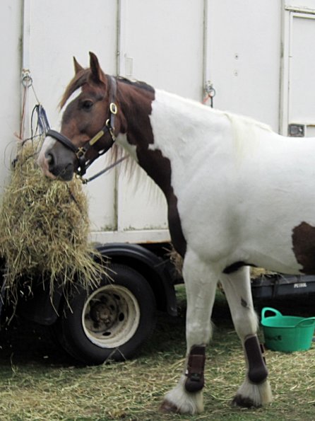 Lance posing on the box (4)