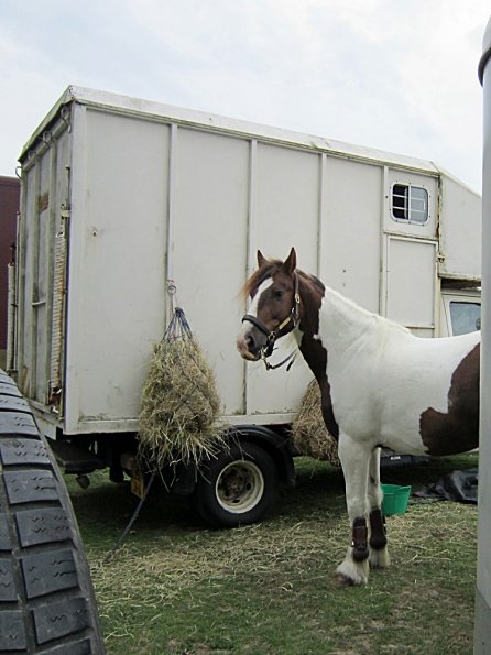 Lance posing on the box