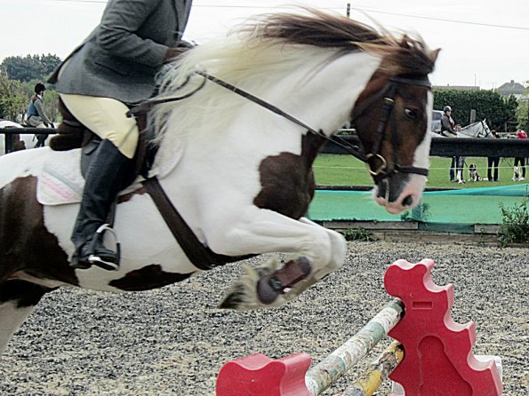 Lance warming up (3)