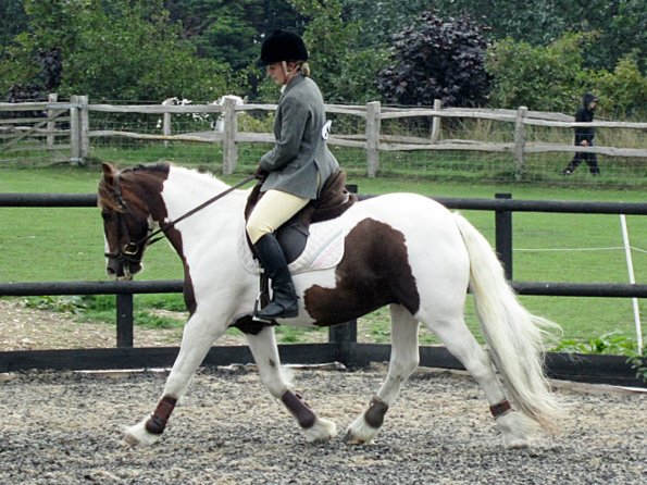 Lance warming up (5)