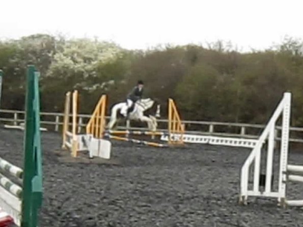 Lance coloured fences (2)