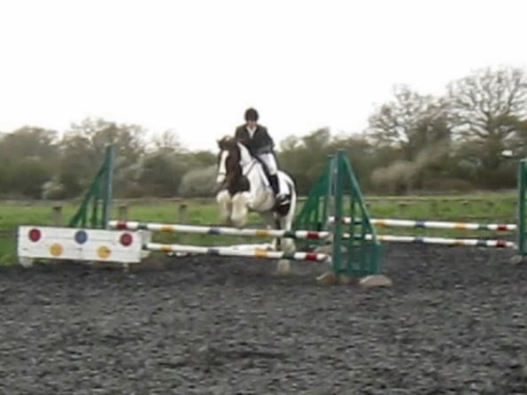 Lance coloured fences (3)