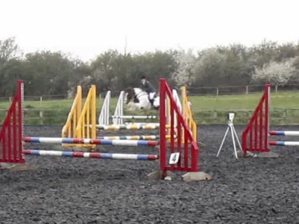 Lance coloured fences (4)