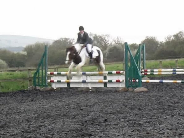 Lance coloured fences (5)