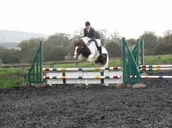 Lance coloured fences