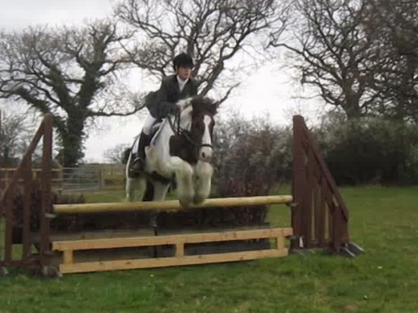 Lance rustic fences (10)