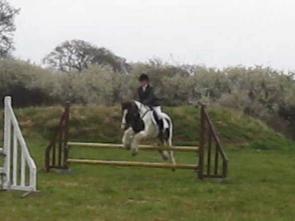 Lance rustic fences (12)