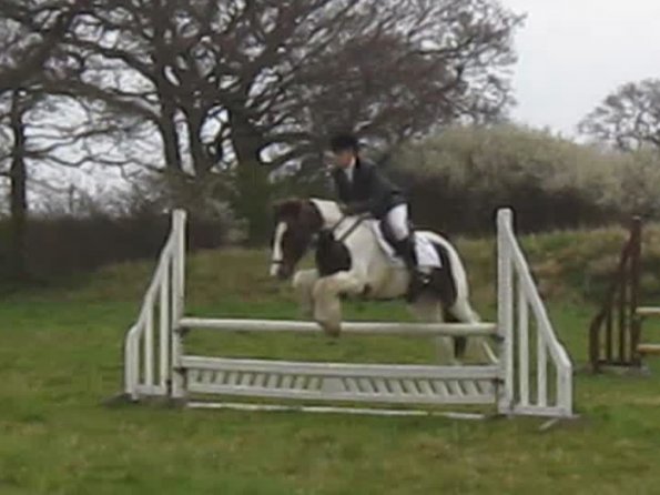 Lance rustic fences (13)