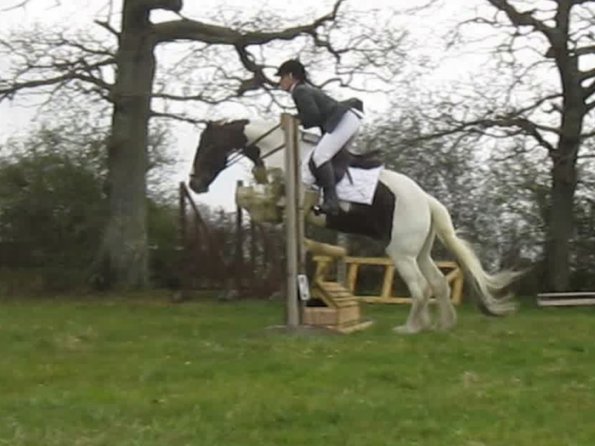 Lance rustic fences (2)