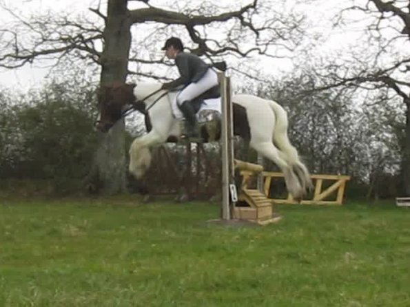 Lance rustic fences (3)