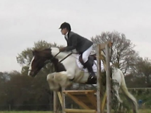 Lance rustic fences (4)