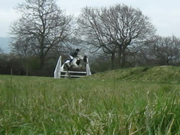 Lance rustic fences (6)