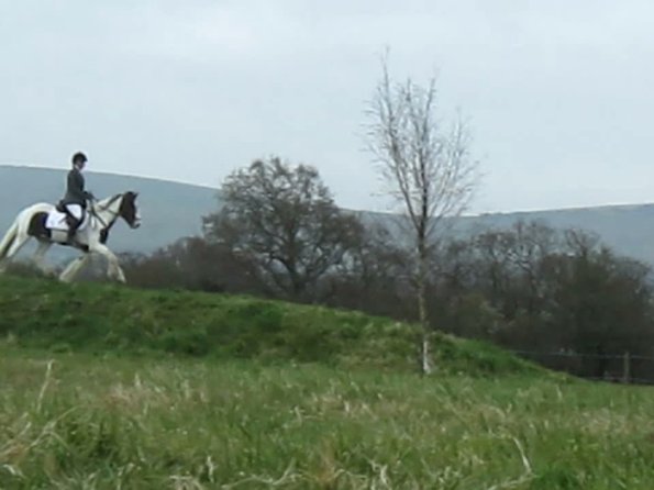 Lance rustic fences (7)