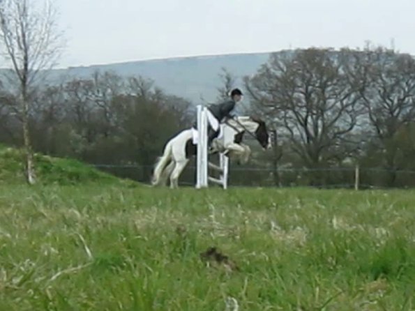 Lance rustic fences (8)