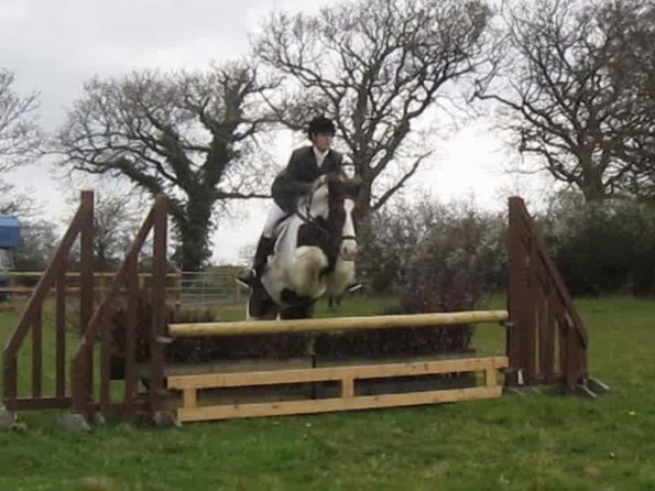 Lance rustic fences (9)