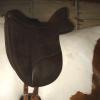Saddle 2.jpg