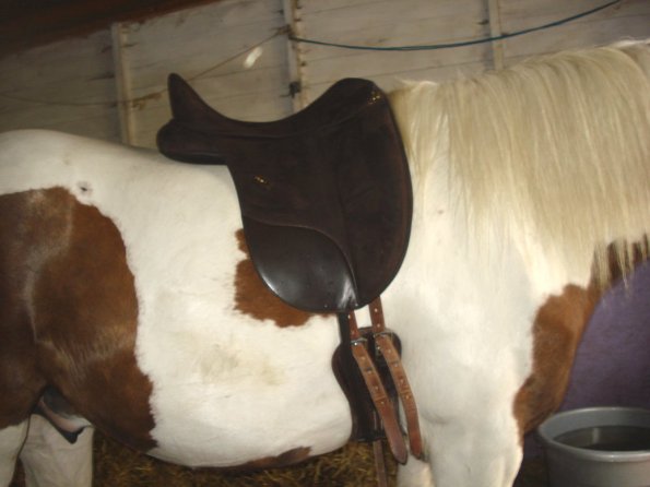 Saddle