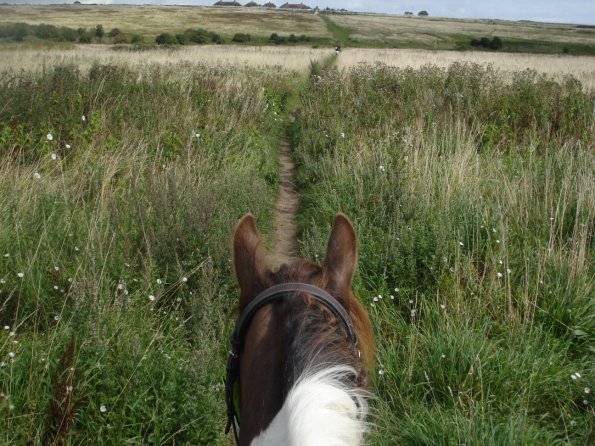 Coming out of sheepcoat valley