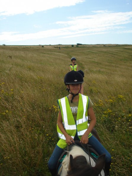 Down into sheepcoat valley Lily