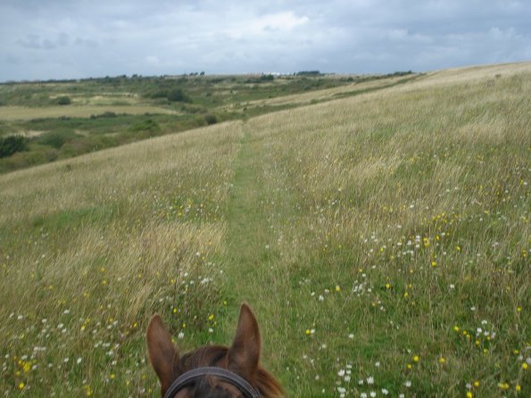 Down into sheepcoat valley