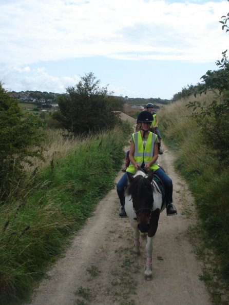 Lily on the sandy lane